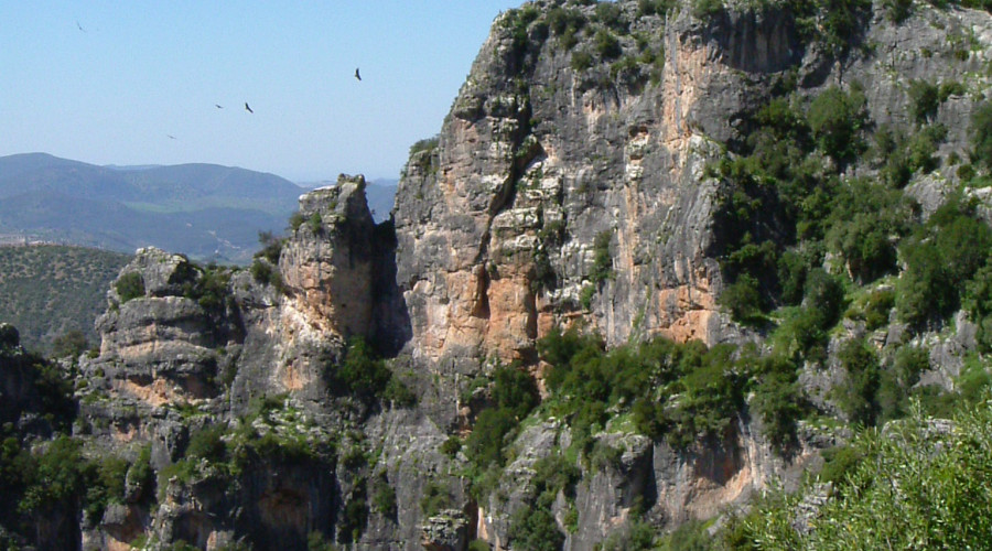 cañon garganta verde