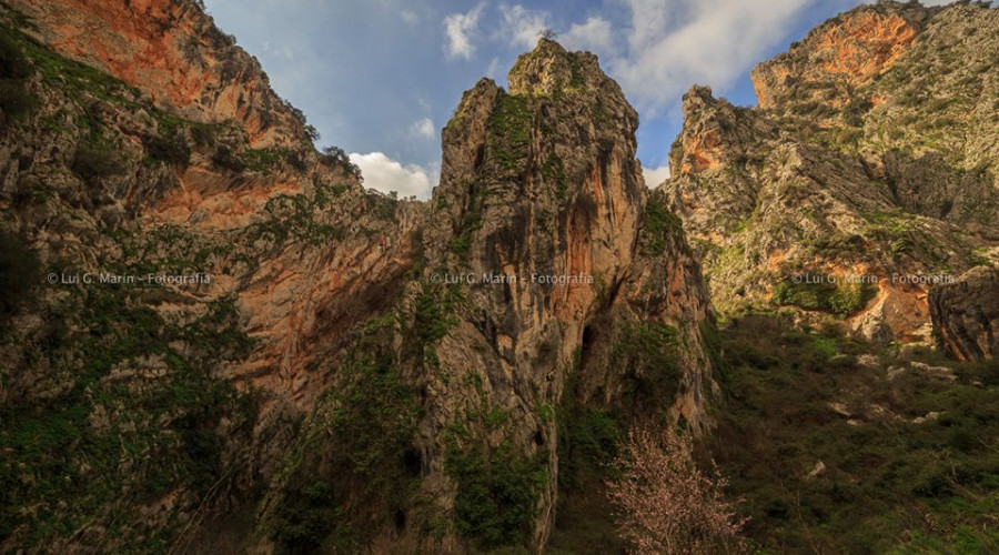 variedad de paisajes